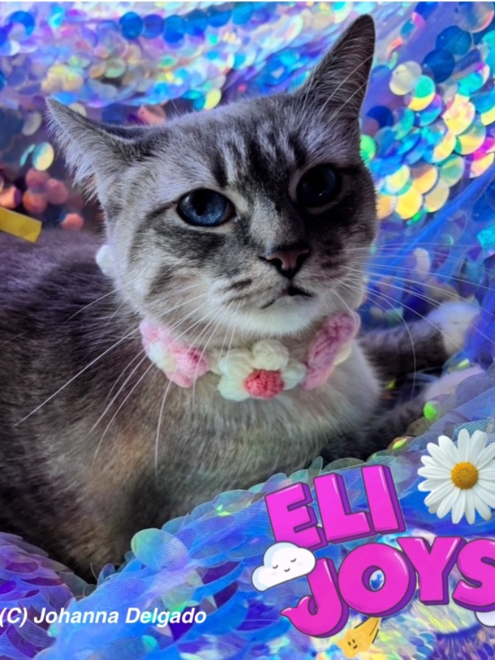 Pink and White Floral Cat Necklace